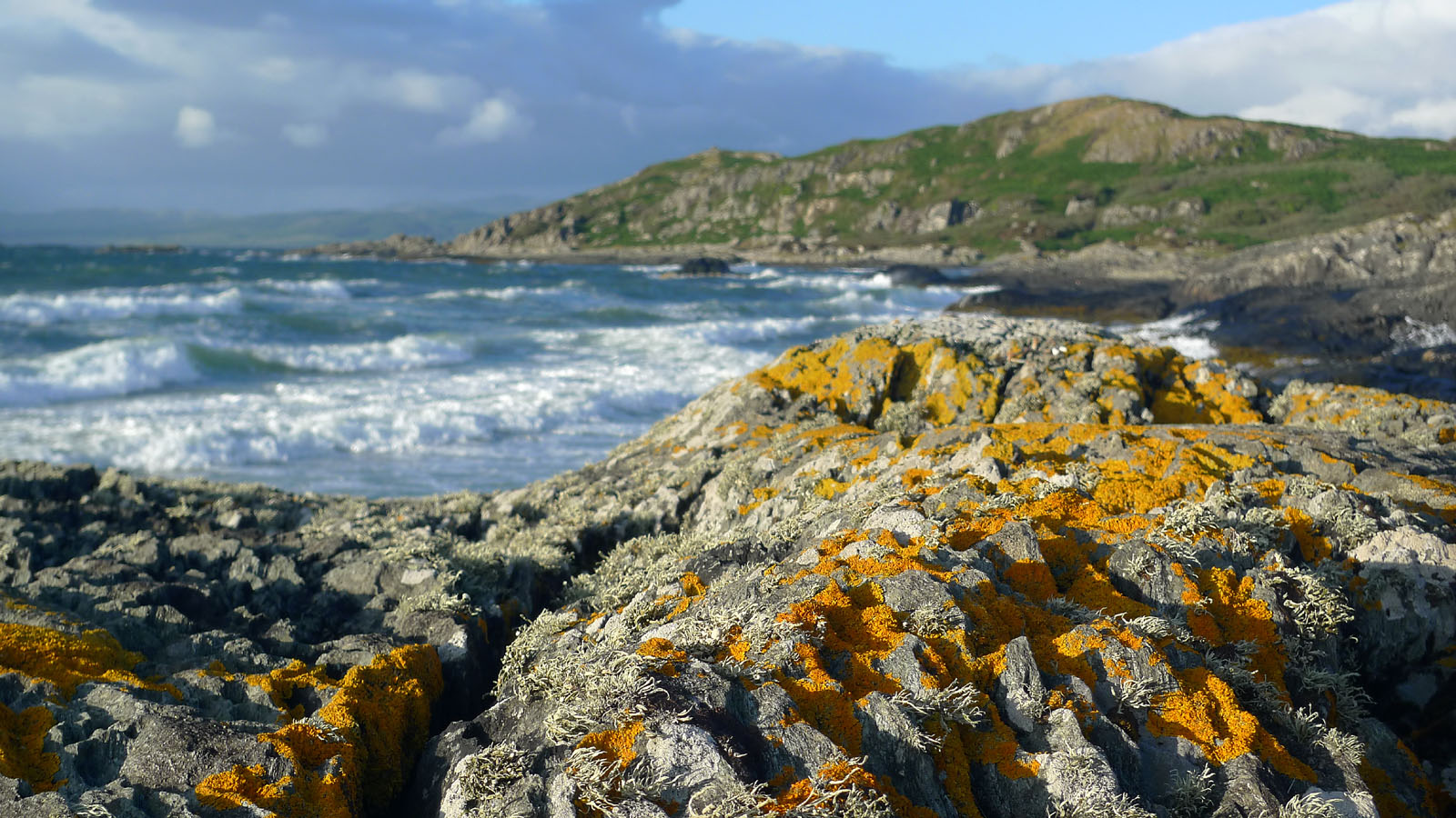 Gigha rocky beach